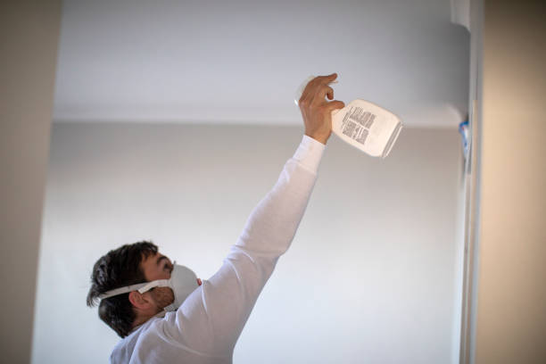 Best Office Mold Removal Services  in Hayti, PA