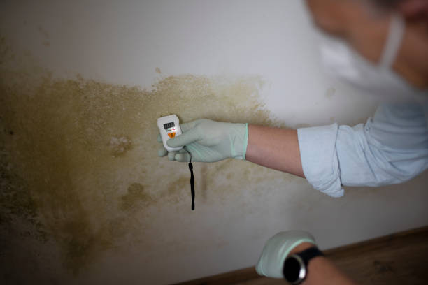 Best Water Damage Restoration  in Hayti, PA
